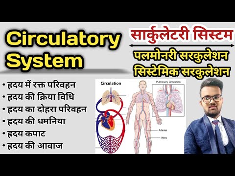 Circulatory System in hindi | Blood Circulation | Pulmonary Circulation | Systemic Circulation