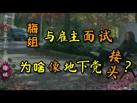 ＃梅姐 与雇主 ＃面试，为啥像 #地下党 接头一般？