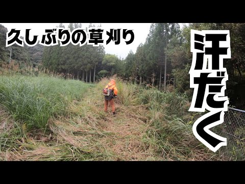 久しぶりの草刈り！久しぶりの場所で汗ダクダク！