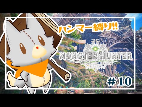 【Monster Hunter: World】画面酔いぬいぐるみはハンマー使いになりたい！！#10【モンスターハンターワールド】