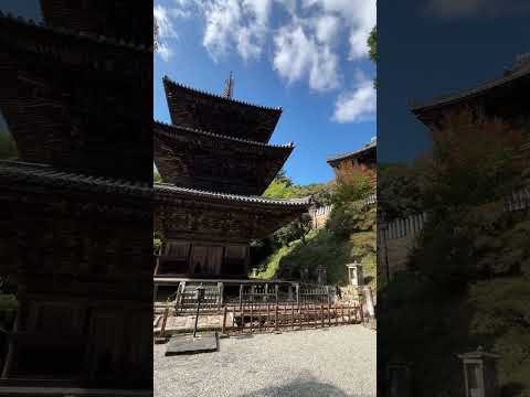 西国三十三所 第26番 一乗寺 2024.11.03 紅葉はまだ青葉🌱