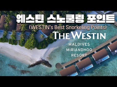 WESTIN MALDIVES MIRIANDHOO Snorkeling spots you can't miss!!