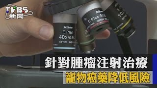 針對腫瘤注射治療　寵物癌藥降低風險