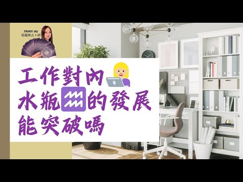 工作對內👩🏼‍💻水瓶♒️的發展能突破嗎？24年1～6月