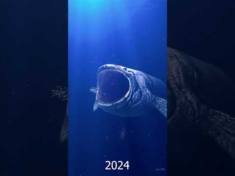 The Bloop of Evolution 2024 | Zeenchu