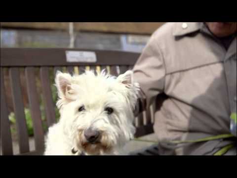 Pets at Home TV advert 2014 - 30s #MyPetMoments