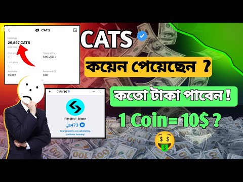 Cats থেকে পেমেন্ট পেয়েছি 🤑 | Cats টোকেন প্রাইস আপডেট| Cats Token Received