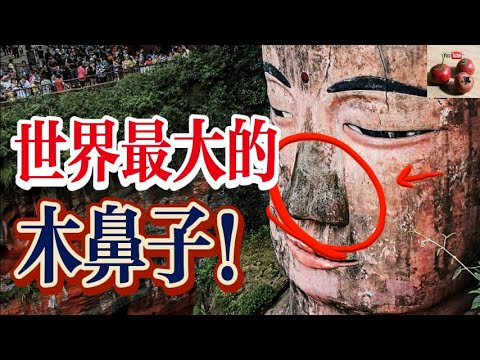 世界上最大的木鼻子原來在這裏！樂山大佛鼻子的秘密！【有億思】#中華文化 #科普 #歷史 #樂山