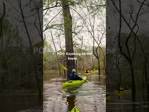 POV: Kayaking on the bayou🛶 #discovermwm #explore #explorelouisiana #kayak #kayaking #bayou #travel