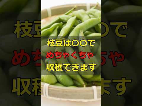 枝豆の収穫量を上げる方法！ #shorts  #家庭菜園 #野菜 #農業 #枝豆 #摘芯