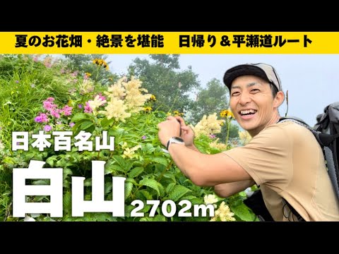 【夏登山】日本百名山『白山』を行く　お花畑に魅了される山旅