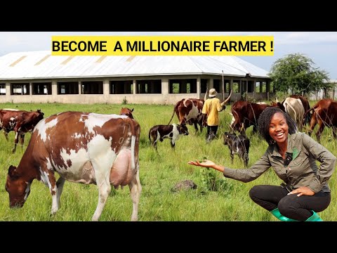 Starting A Profitable Cattle Farm Business! | Location, Treating Calves, Breeds, FARM ROUTINE !