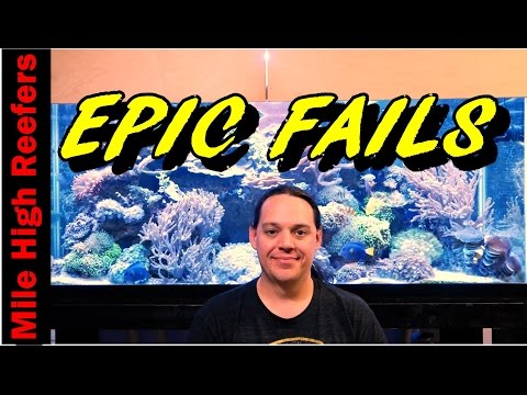 I Fail at Reef Keeping A Lot