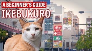 A Beginner's Guide to Ikebukuro