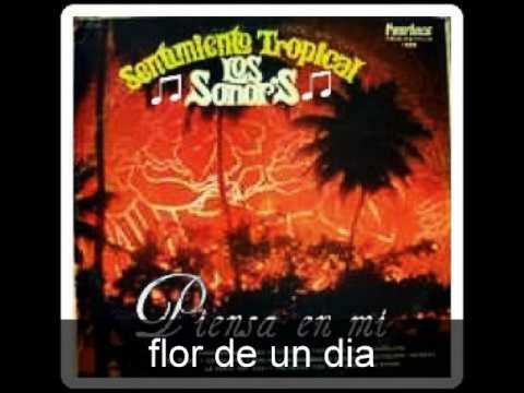 flor de un dia - los sonor's