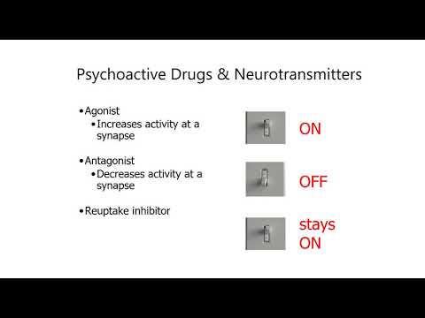 Lecture 5  Drugs and the Brain Recording