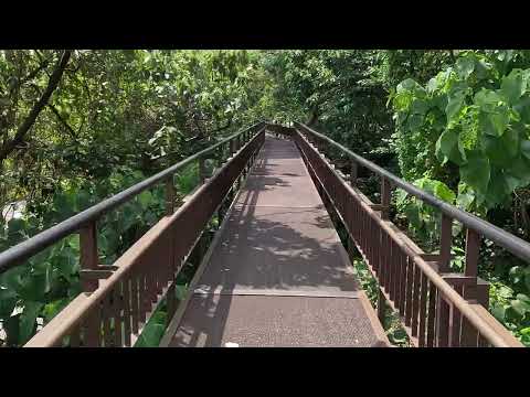 小觀音山步道