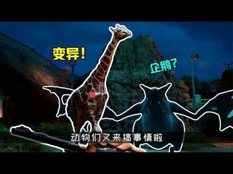 這次動物園的主角是企鵝？