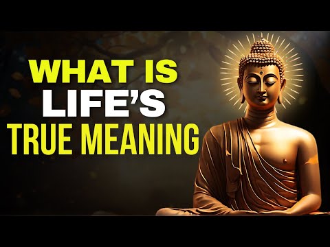 Discover Your True Purpose: Zen Wisdom & Life-Changing Buddhist Stories | Motivational Teachings