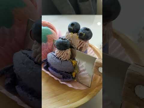 🇰🇭Munching on MACARONS #food #cambodia #travel #shortvideo #shorts #short #macaron #cambodiatourism