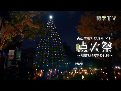 2024年度 青山学院クリスマス・ツリー点火祭～降誕を待ち望む礼拝～