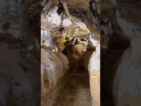 Groundwater seeping from the ceiling of Ohio Caverns, the largest cave system in Ohio, USA!