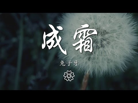 兔子牙 - 成霜『天邊繞着傷 卻很美』【動態歌詞Lyrics】