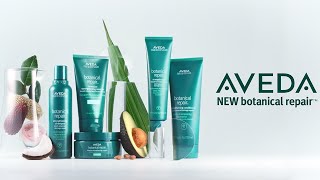 Dramatically Transform Damaged Hair | Botanical Repair Collection | Aveda