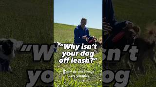 My dogs are never off leash until… #dogtrainer #dogtraining #puppytraining #leashtraining #offleash