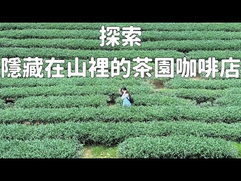 【桃園】探索隱藏在山裡的茶園咖啡店｜復興區水蜜桃季