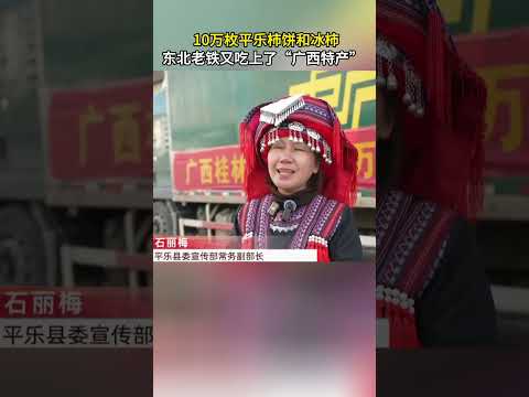 10万枚平乐柿饼和冰柿东北老铁又吃上了“广西特产” #中国#广西