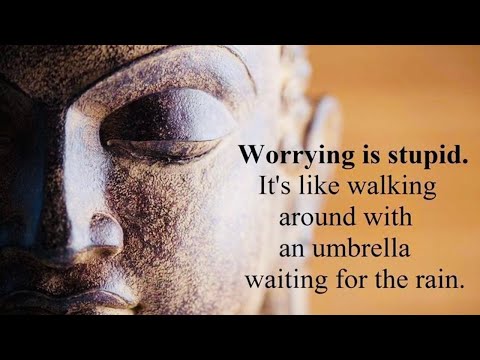 Buddha Quotes That Will Change Your Mind /Buddha Quotes On Life / That Might Motivate You#motivation