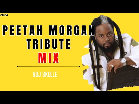 PEETAH MORGAN TRIBUTE MIXTAPE | BEST RIDDIMS ROCK