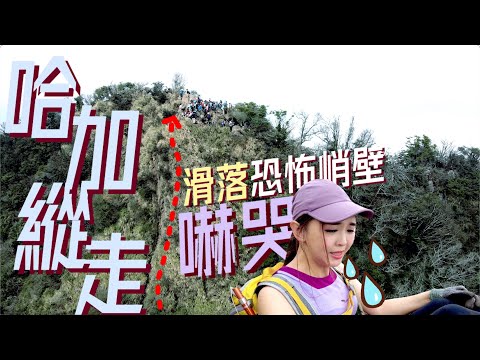 【哈加縱走】踩到大白鯊😱？滑落恐怖峭壁爆哭😭！沒練過最好不要來！