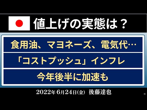 日本の値上げ 実態は？5月もCPI2%超（2022/6/24）