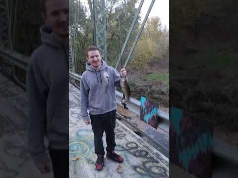 Fish high five #funny #crappiefishing #rockbass #fishing #trendingshorts #trending