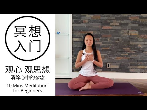 【10分钟冥想入门 | 观心 观思想】消除心中的杂念 提高注意力 10 Mins Meditation for Beginners | How to Eliminate Thoughts?