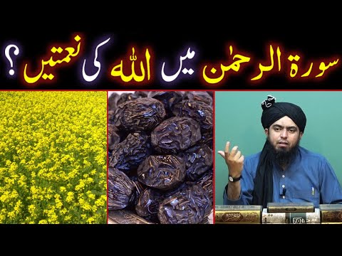 Surah e Rahman Main ALLAH Ki NEMATEIN ??? (By Engineer Muhammad Ali Mirza Bhai)