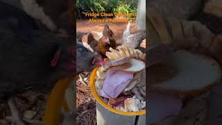 Composting Chickens Fridge Clean Out Day! #homestead #chickens #farmlife #backyardchickens #farm