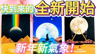 #QQ塔羅【12月30日摩羯座新月】快到來的全新開始！哪方面即將迎來巨大突破？事業/學業/財運/健康/感情/桃花/職場/人際關係/貴人機遇/婚姻家庭子女 運勢 預測 占卜