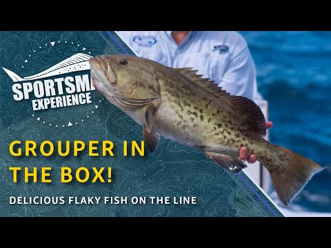 The Sportsman Experience Shorts - Grouper In The Box