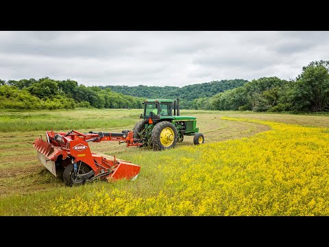 Trimming Wildflowers at the Valley - KUHN FC 4061 TCD