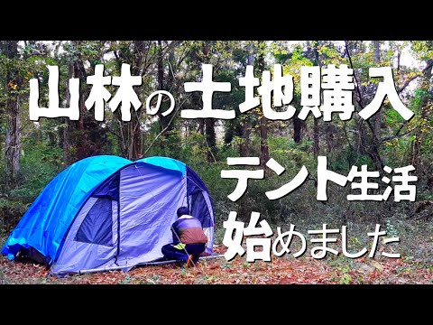 Bought $8,000 Japanese Forest Land and Started Camping Life