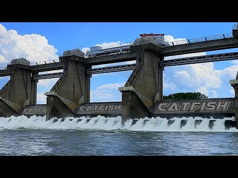 Catching Catfish Below a Huge Dam. (Hot Bite)