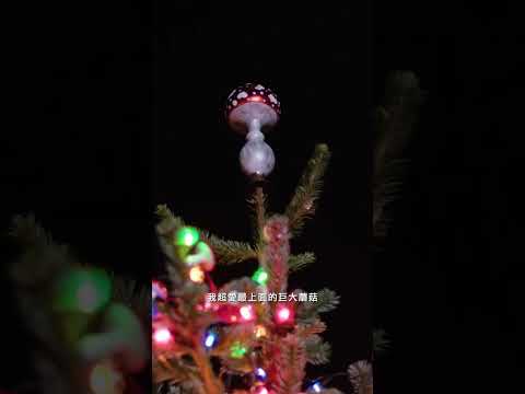 創意滿滿的聖誕樹裝飾靈感🎄！