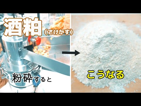 【酒粕パウダー】酒粕を卓上粉砕機で粉末に加工しました（ハンマーミル）