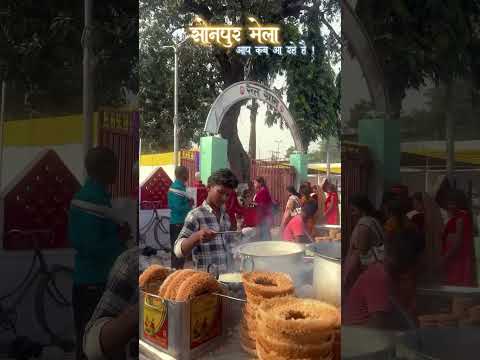 मेला पूरे तरह से लग चुका है ! #sonpur #sonpurmela #sonpurmela2024 #trendingreels #instagramreels #b