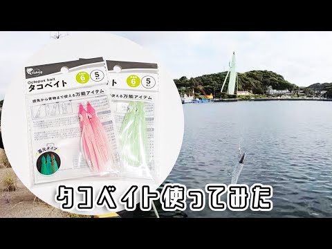 ワーム+タコベイトで魚を狙ってみる！狙いは根魚！