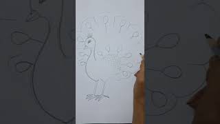 #pecock #pencildrawing #pencilsketching #drawing #easyartforkids #drawinglessonsforkids