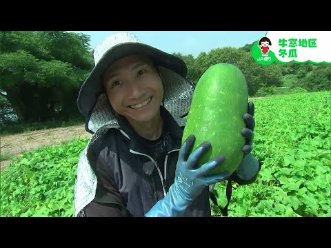 "前島のナイスガイ" が作る牛窓地区特産の「冬瓜」｜【笑味ちゃん天気予報】2024年8月13日放送